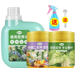 家庭养花用生根粉