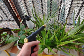 家庭养花用生根粉