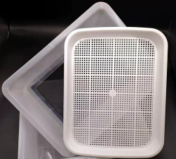 大麦虫虫粪养花