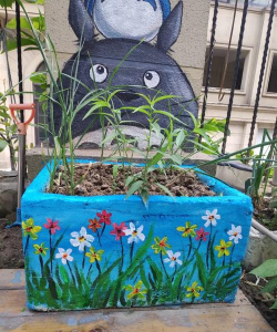 家庭养花用生根粉