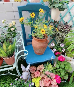 无土栽培技术，突破土壤限制，开启高效种植新篇章