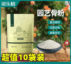 无土栽培技术，突破土壤限制，开启高效种植新篇章