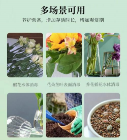 家庭养花用生根粉