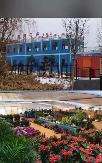 家庭养花用生根粉