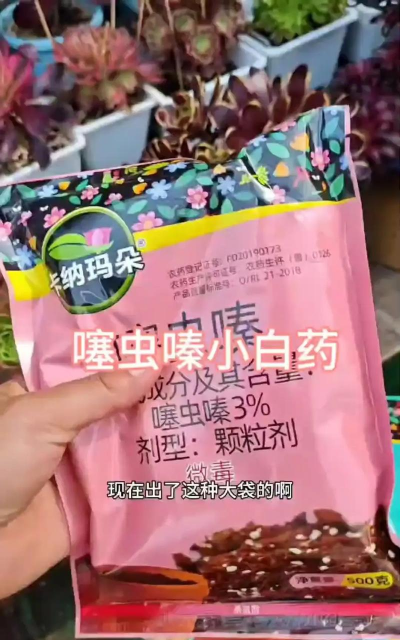 家庭养花用生根粉