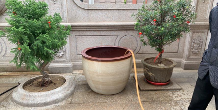 家庭养花用生根粉