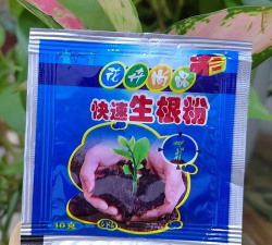 家庭养花用生根粉