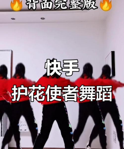 养花使者广场舞