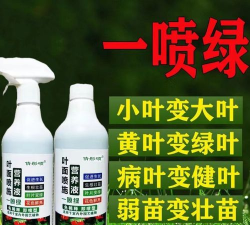 家庭养花用生根粉