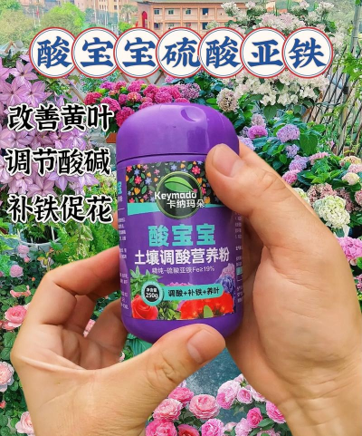 酸宝宝养花教程