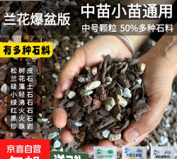 家庭养花用生根粉