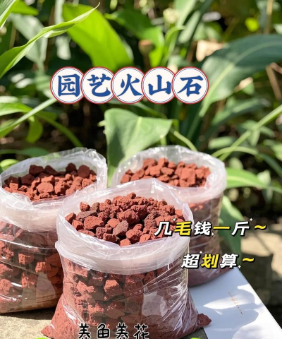 火山石铺底养花
