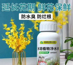 家庭养花用生根粉