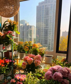 家庭养花用生根粉