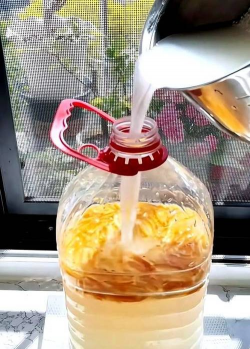 淘米水加醋养花