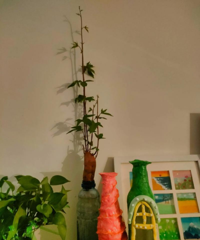 家庭养花用生根粉