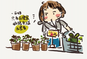 家庭养花用生根粉