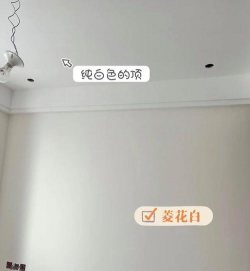 白涂料可以养花