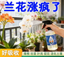 兰陵王药液养花的