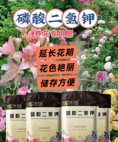 家庭养花用生根粉