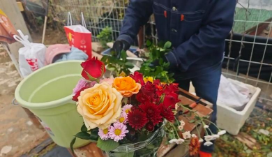 家庭养花用生根粉