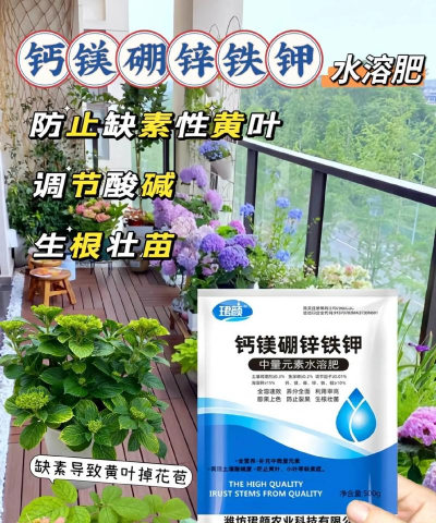 家庭养花用生根粉