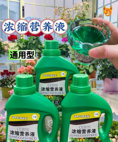 家庭养花用生根粉