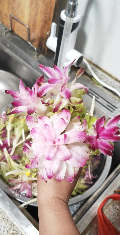 中药养花效果好