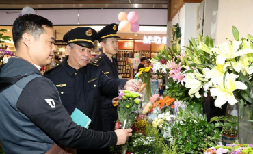 家庭养花用生根粉