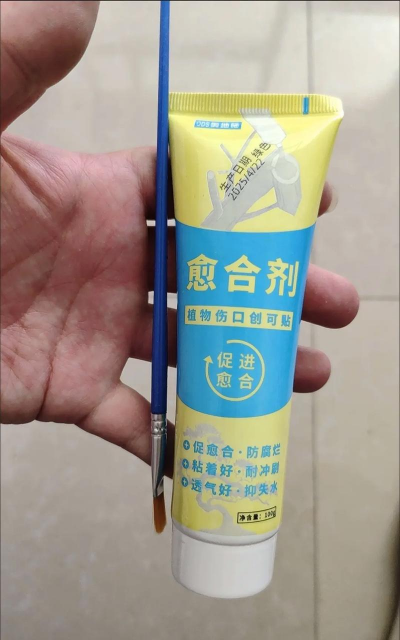 家庭养花用生根粉