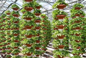 寿光立体种植养花