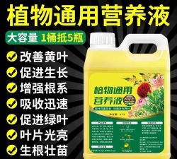 家庭养花用生根粉