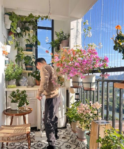 家庭养花用生根粉