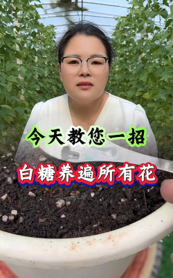 家庭养花用生根粉