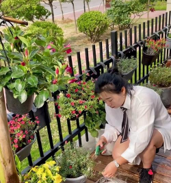 家庭养花用生根粉