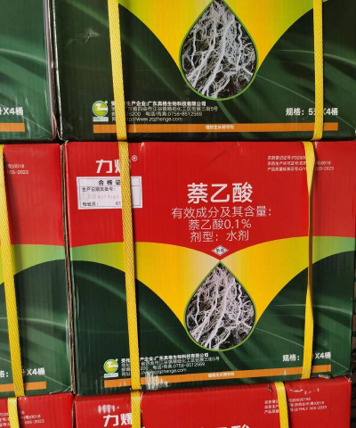 家庭养花用生根粉