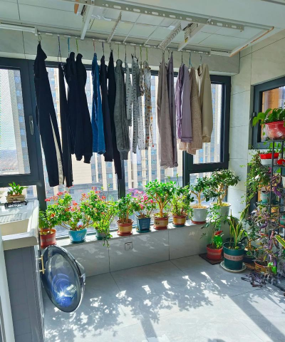 家庭养花用生根粉