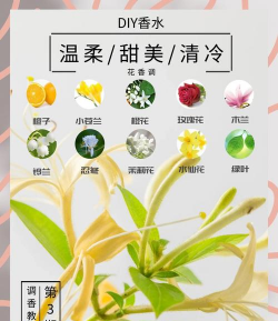 如何养花用香水