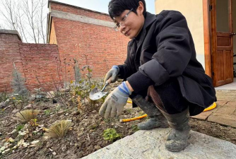 家庭养花用生根粉