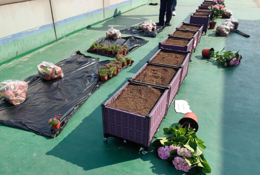 家庭养花用生根粉