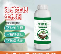 家庭养花用生根粉