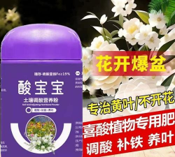 养花酸宝宝成分