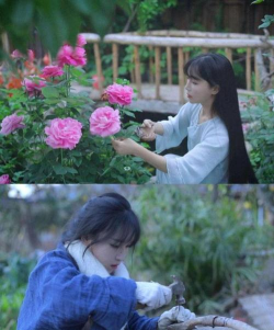 家庭养花用生根粉