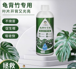 家庭养花用生根粉