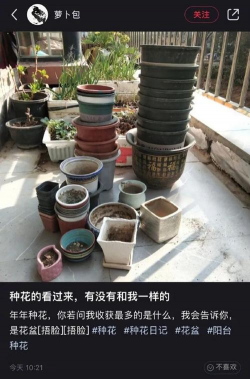 家庭养花用生根粉