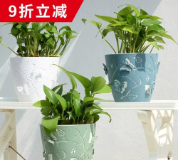 花盆套花盆养花