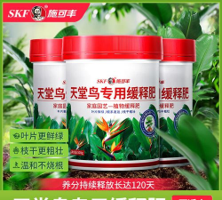 家庭养花用生根粉