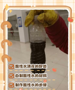 自制酸水养花
