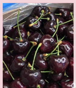 樱桃发黑是什么品种