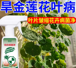 旱金莲使用什么肥料
